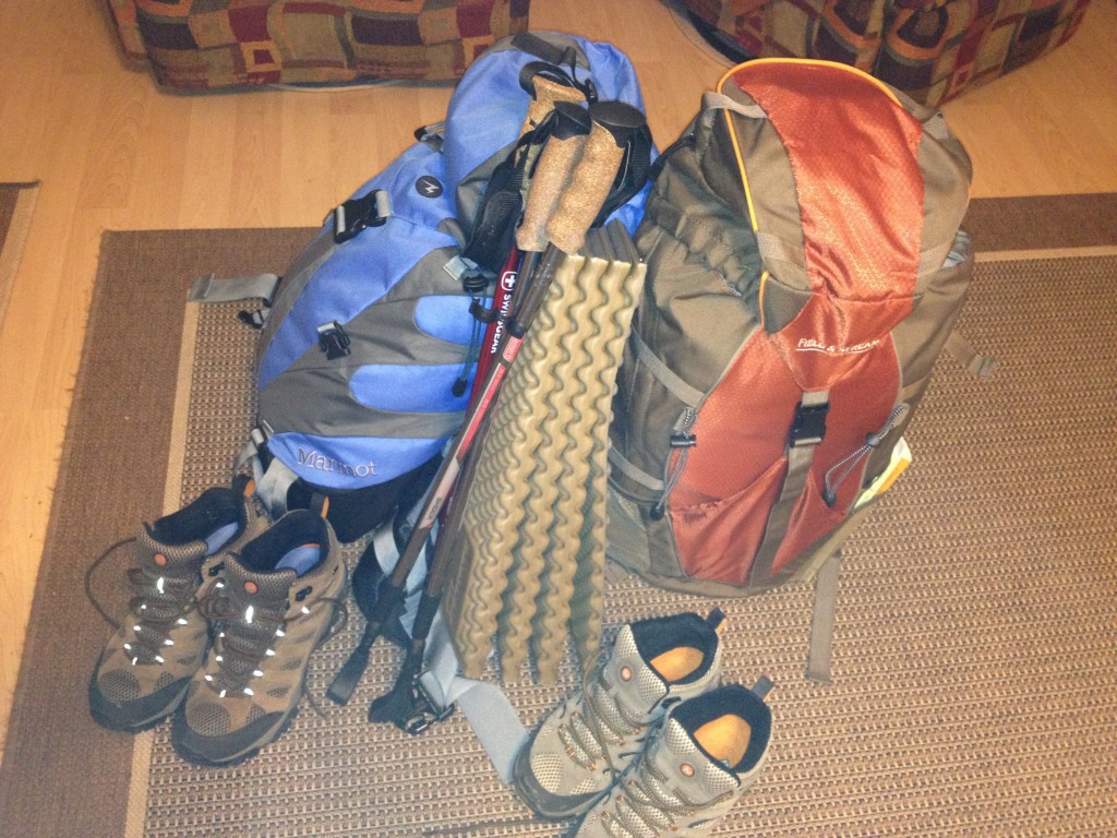 The gear