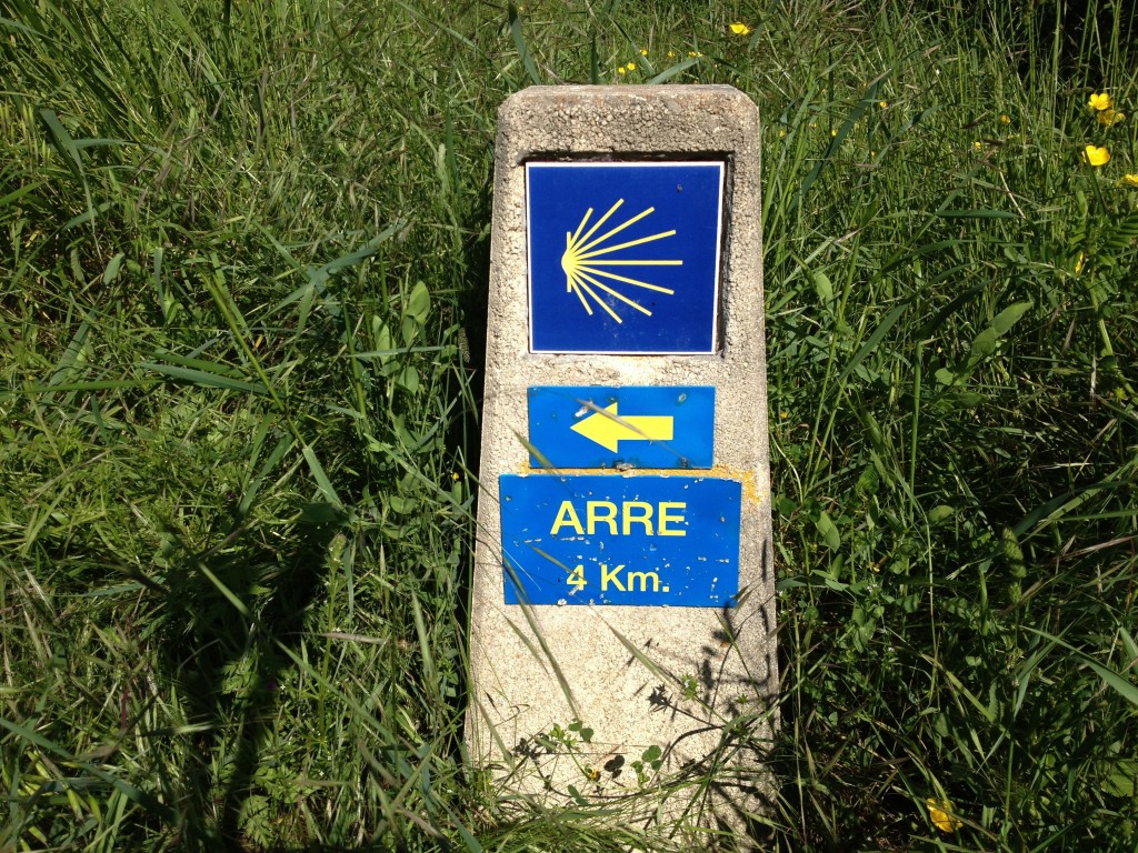 Pamplona · Photo 8