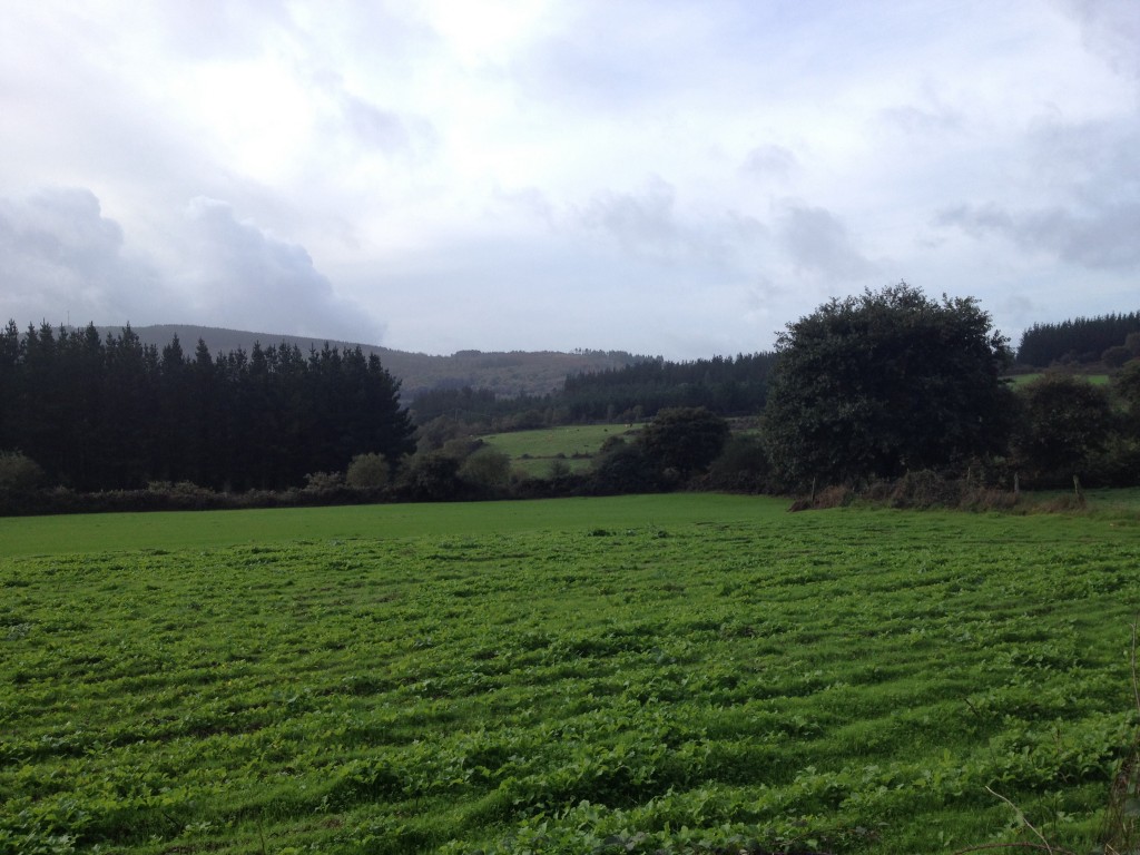 The view today