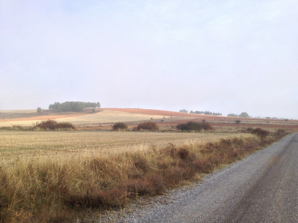 After the fog