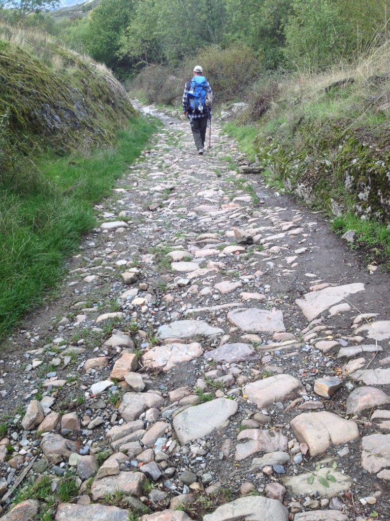 The trail