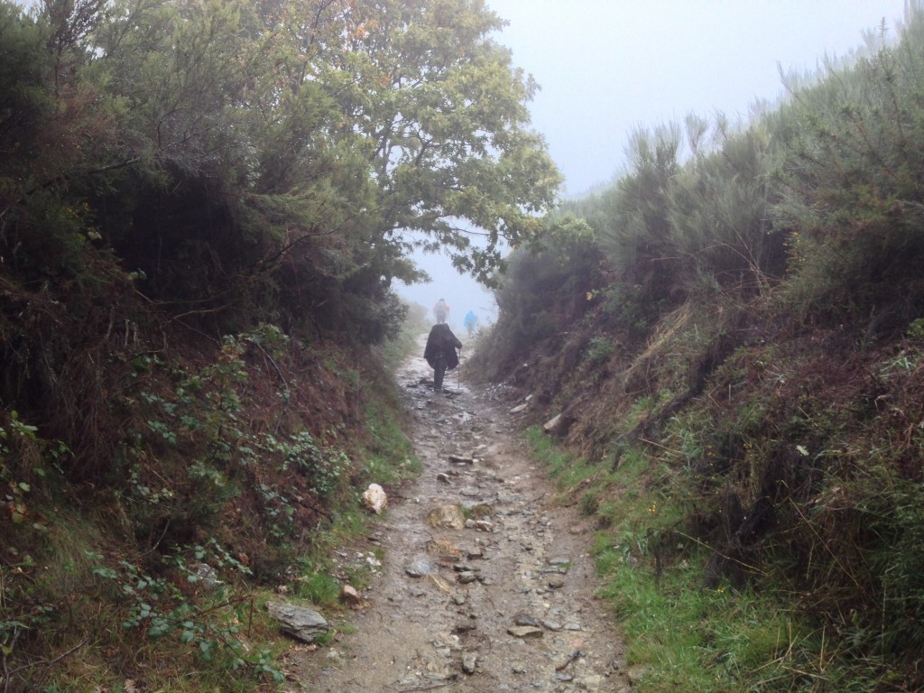 The trail starting up